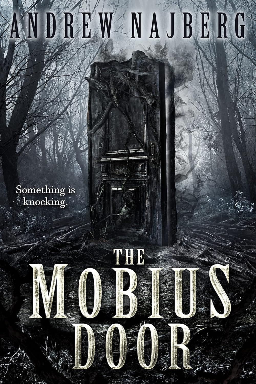 The Mobius Door