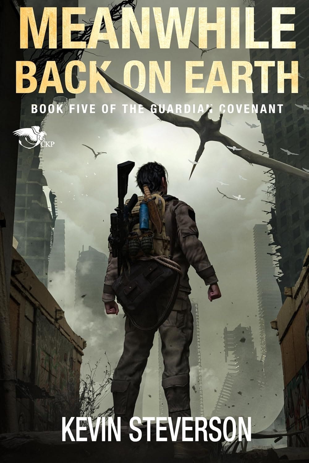 Meanwhile Back on Earth