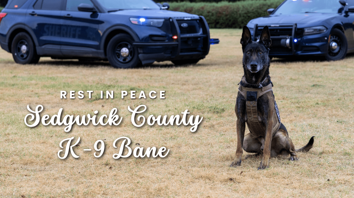 R.I.P. Bane