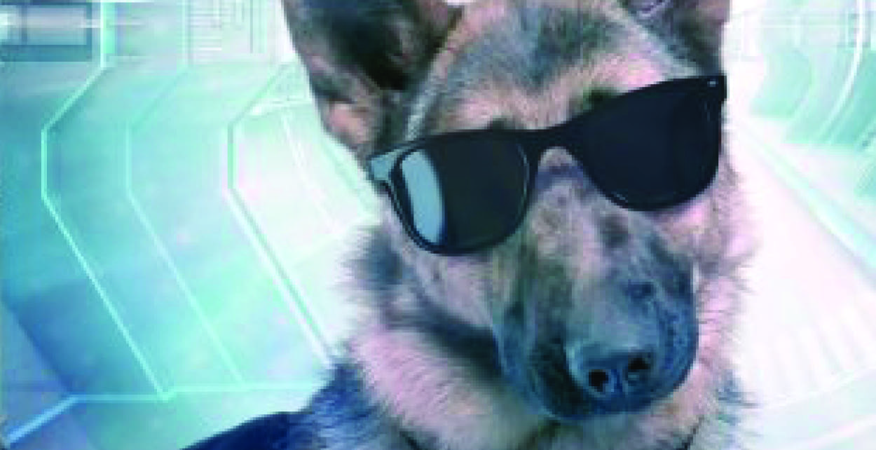 Dog Aliens #1: Raffle’s Name – Book Review