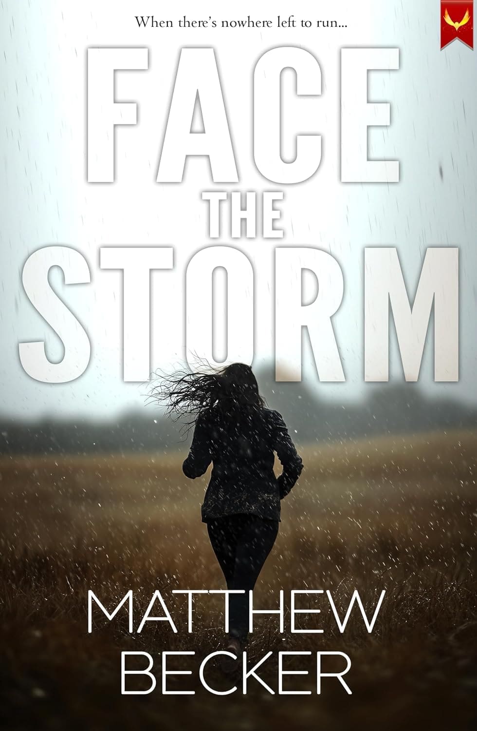 Face the Storm