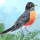 Robin Munn Avatar